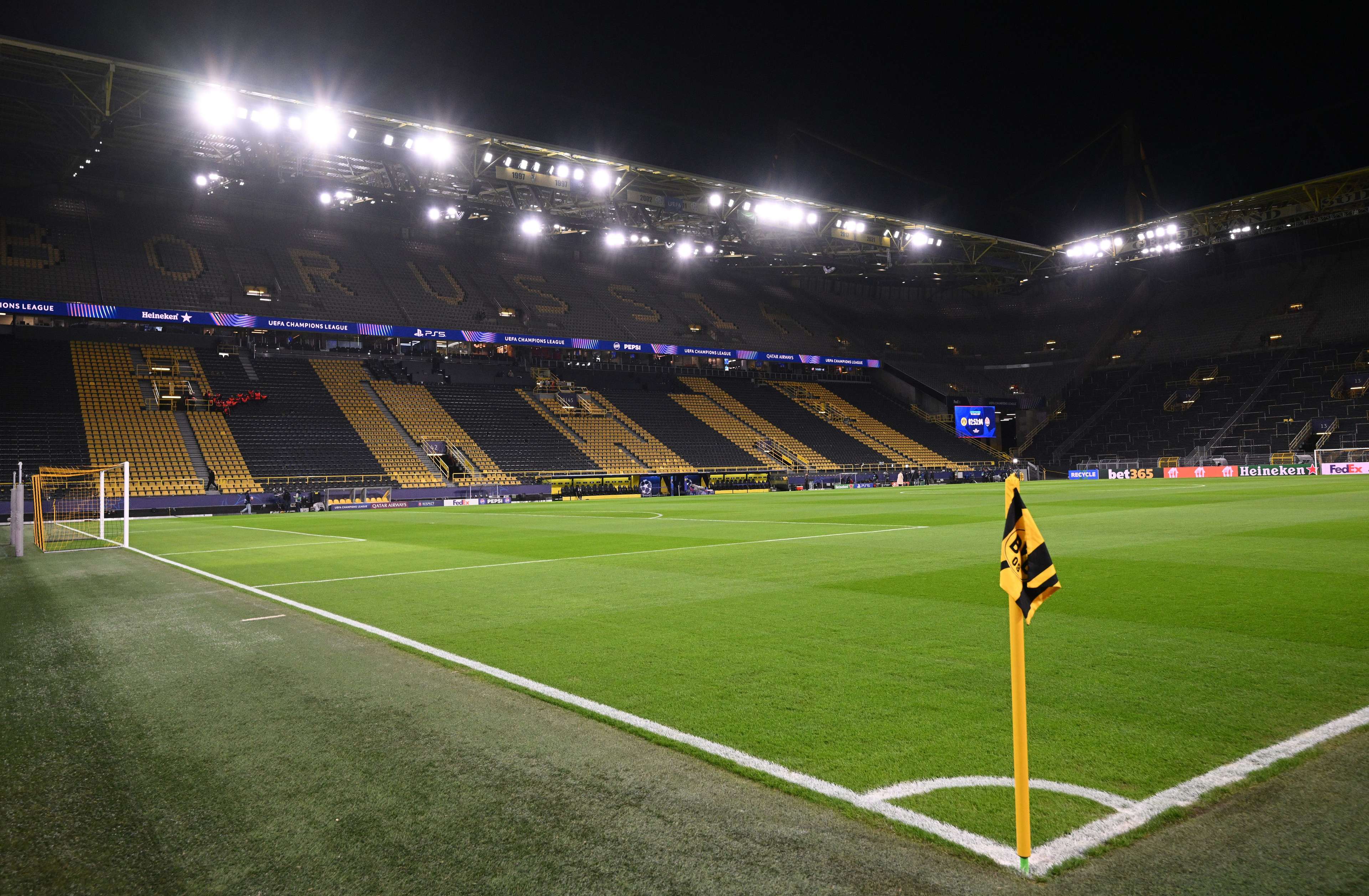 助力青岛对 助力青岛对